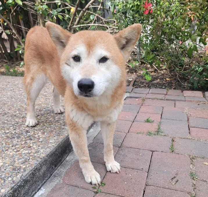 Photo of Nana