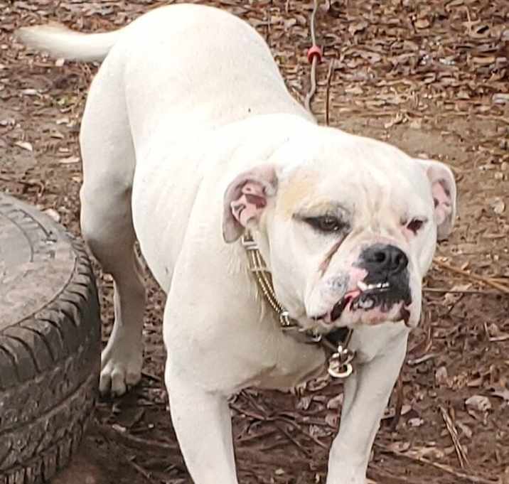 Photo of Harlo