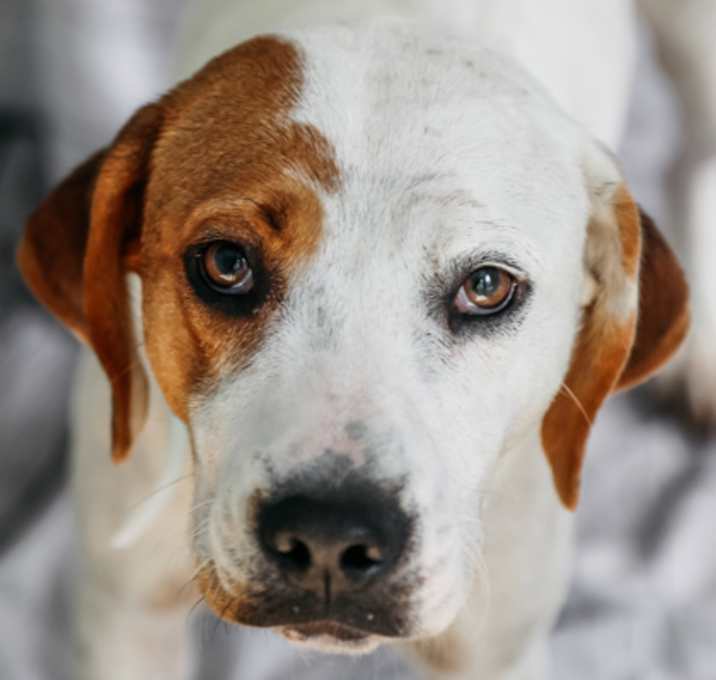 Photo of Megan