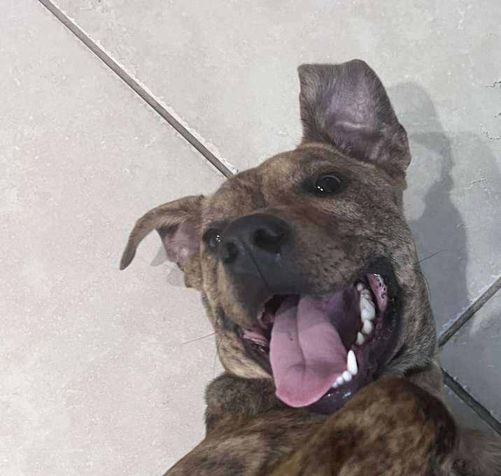 Photo of Odin