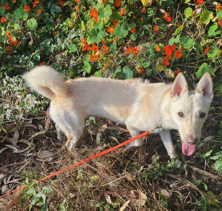 Photo of Sunny