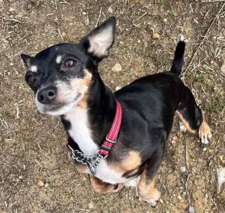Photo of Bean