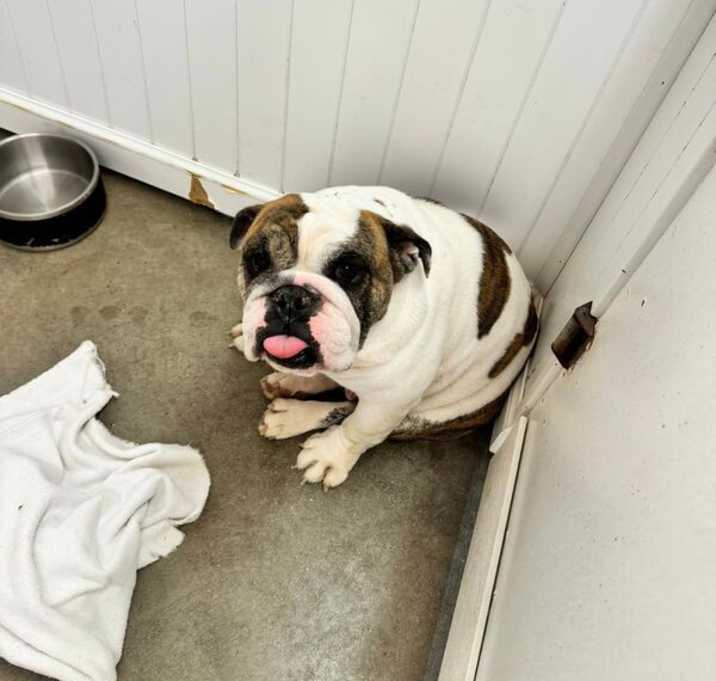 Photo of Emmy