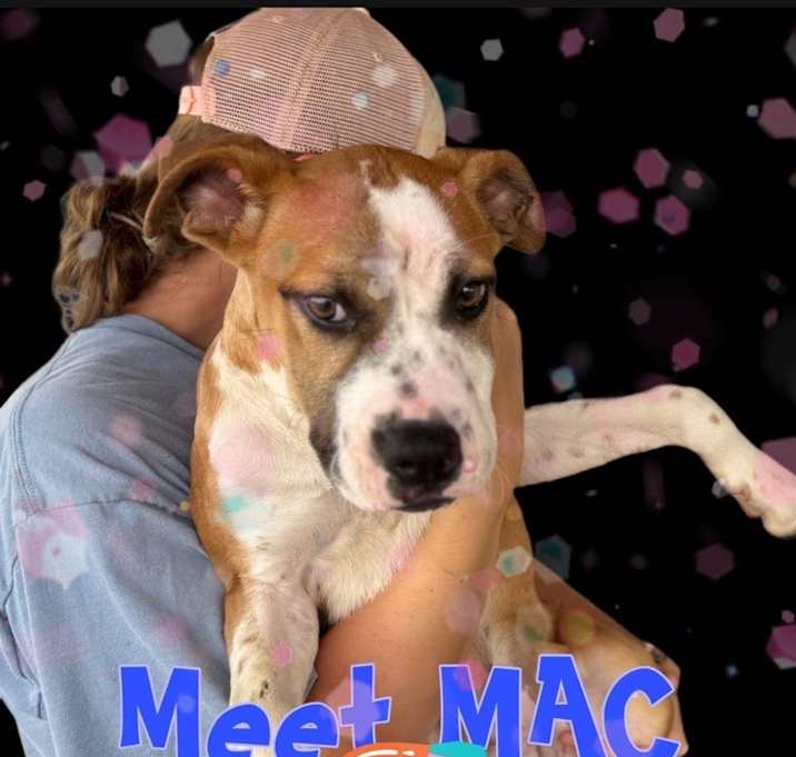 Photo of Mac