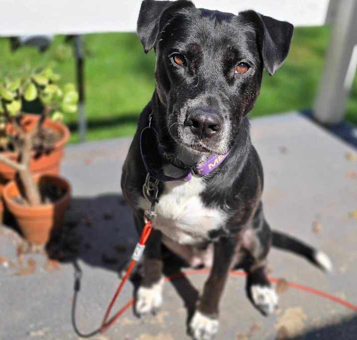 Photo of Nessa