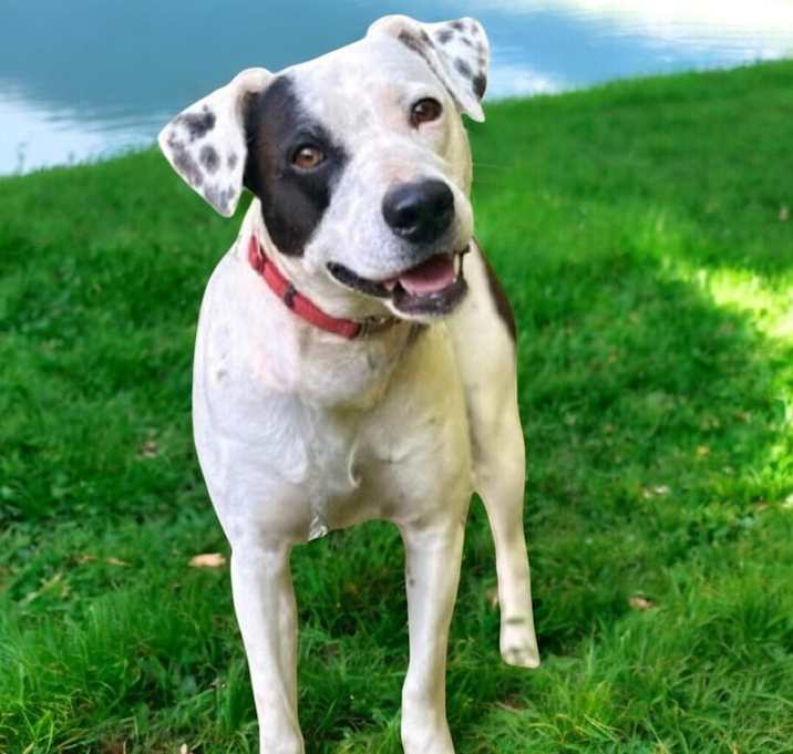 Photo of Max