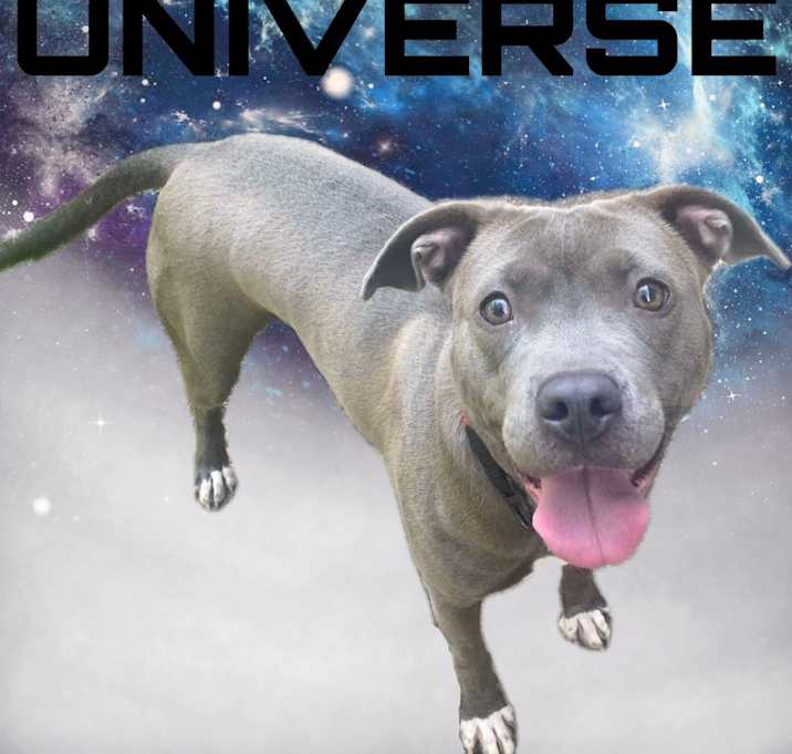 Photo of Universe