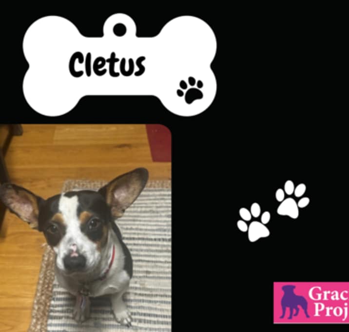 Photo of Cletus