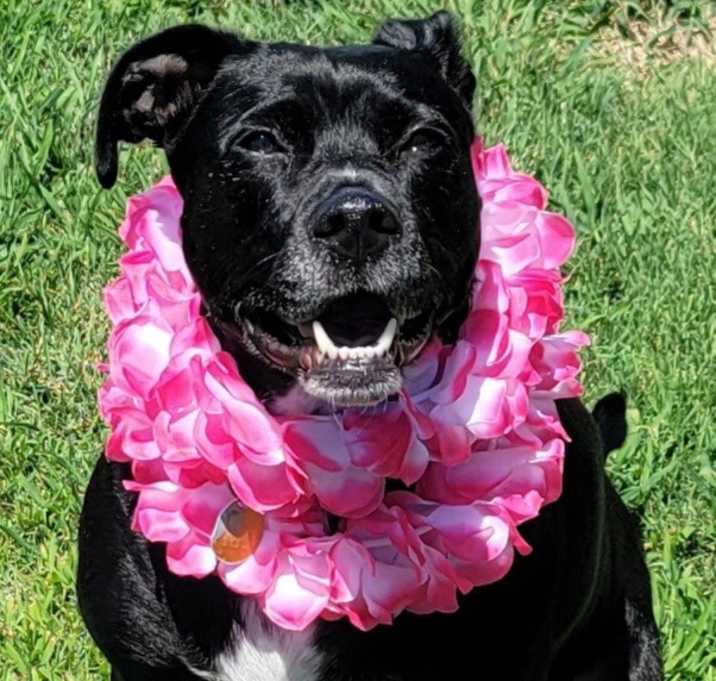Photo of Zoe