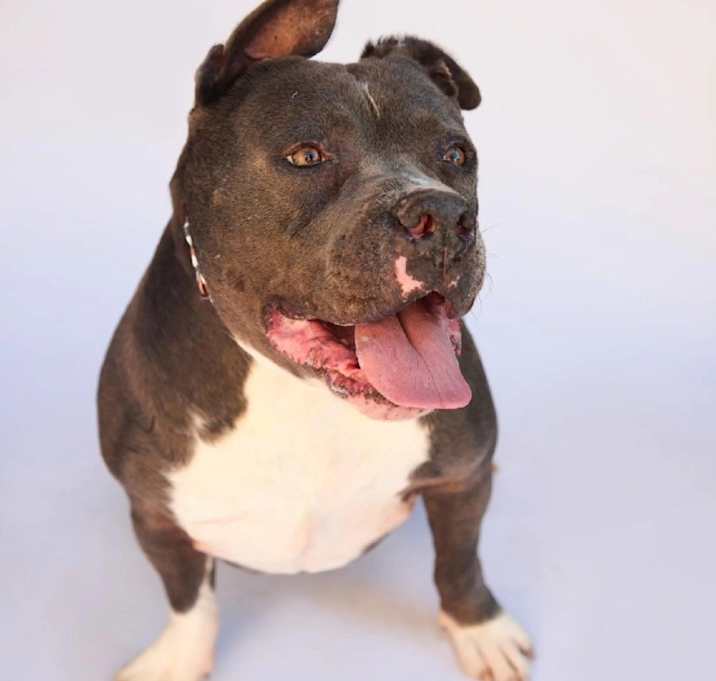 Photo of Clyde