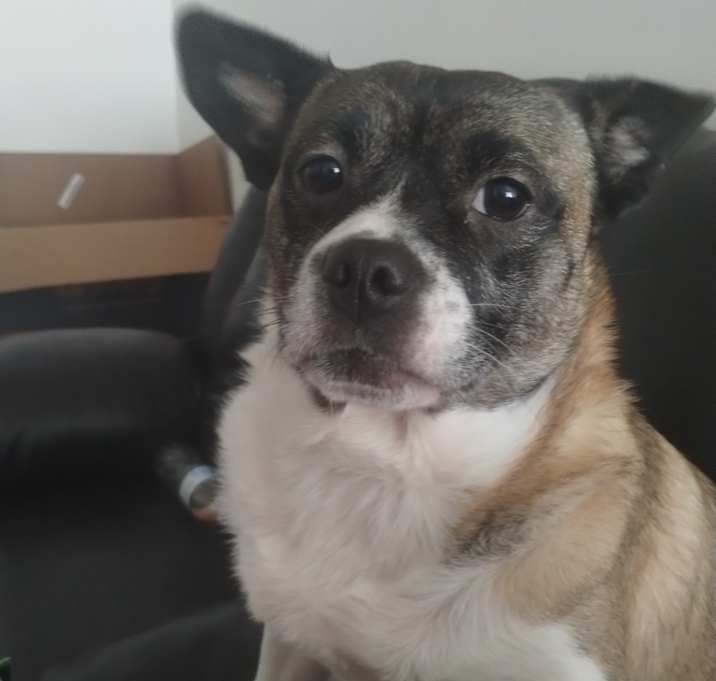 Photo of Booh