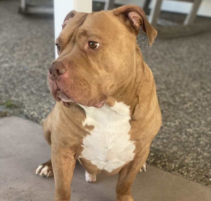 Photo of Zeus