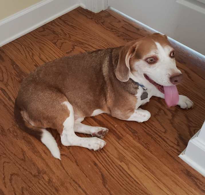 Photo of Cinnamon