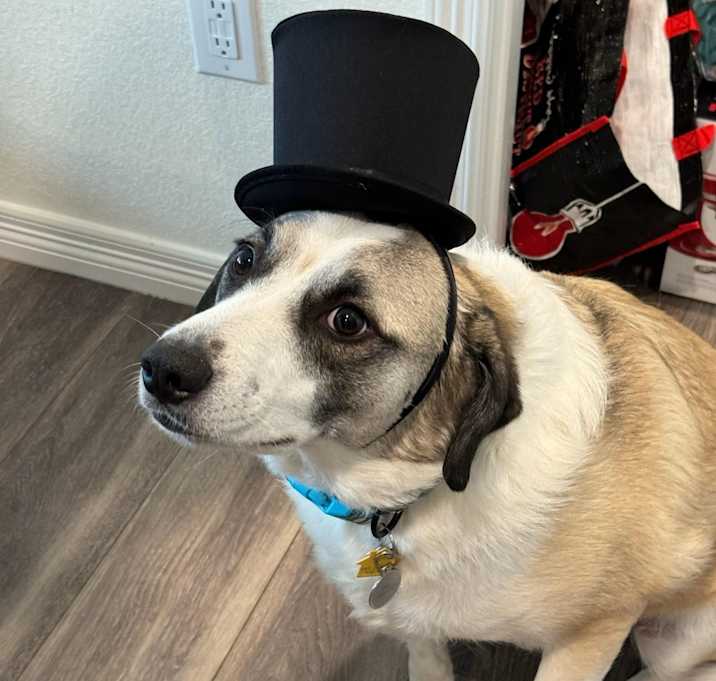 Photo of Jake