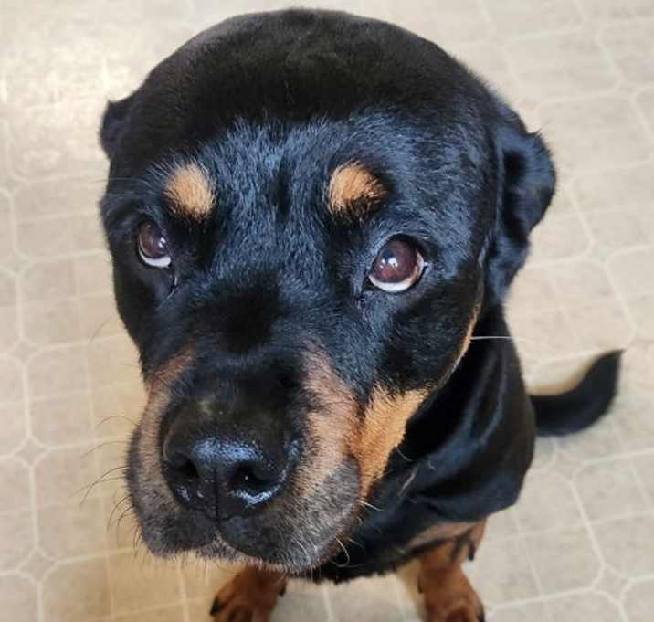 Photo of ATHENA (COURTESY POST)