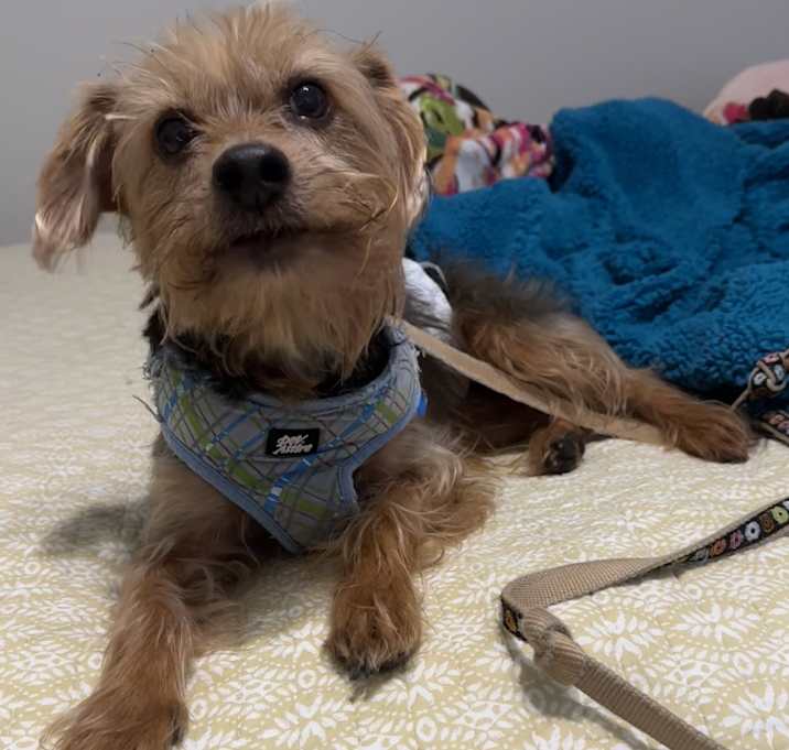 Photo of FRANKIE