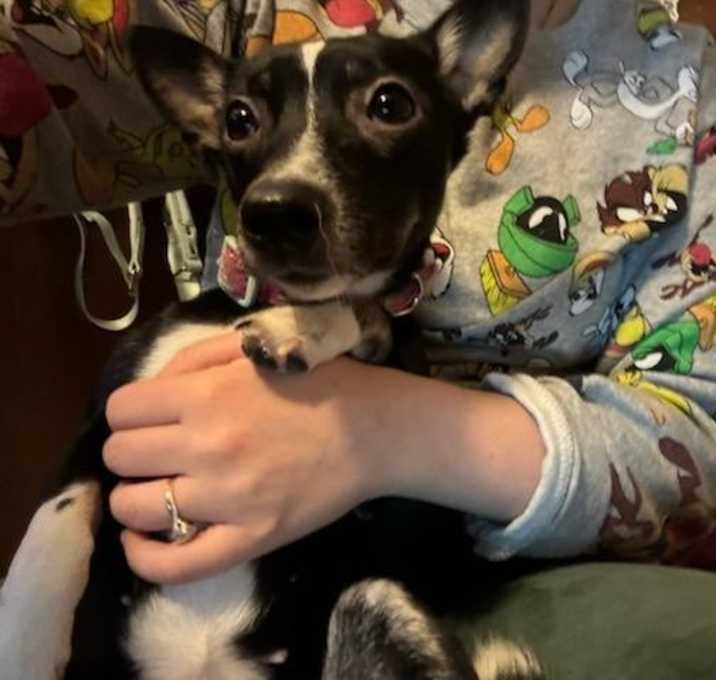 Photo of Blackywhitey