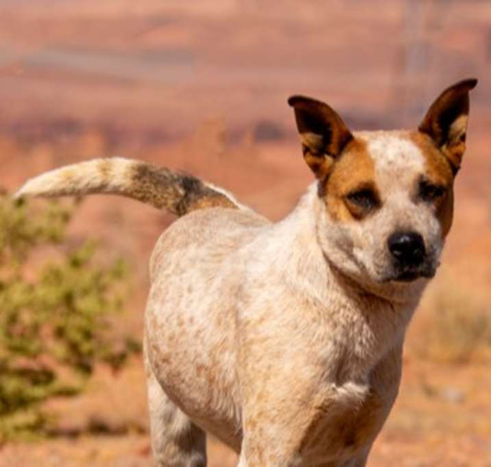 Photo of Karen