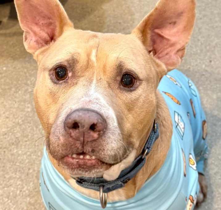Photo of Buster