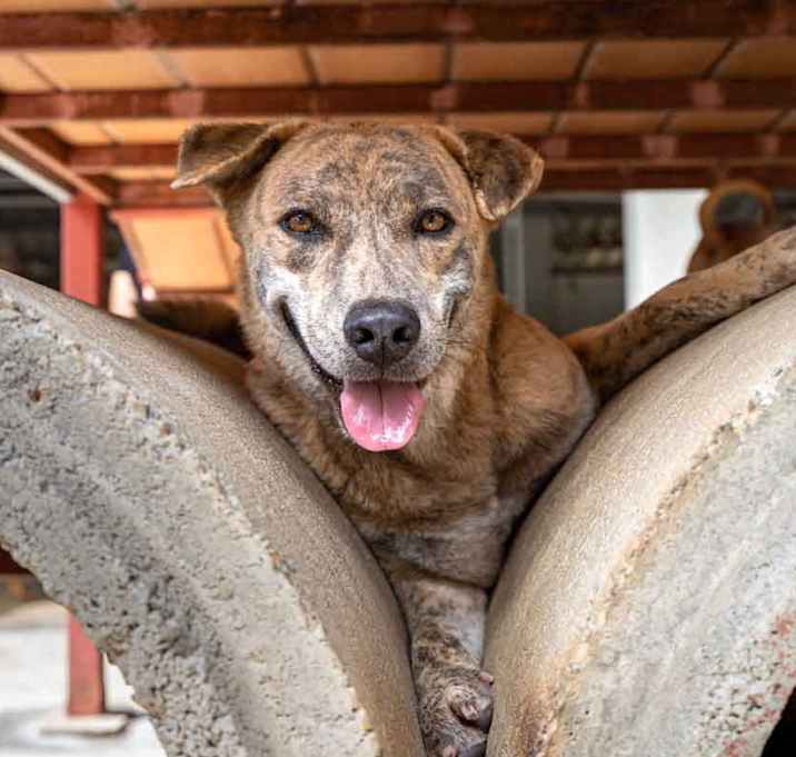 Photo of Meggie