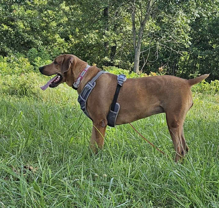 Photo of Cinna