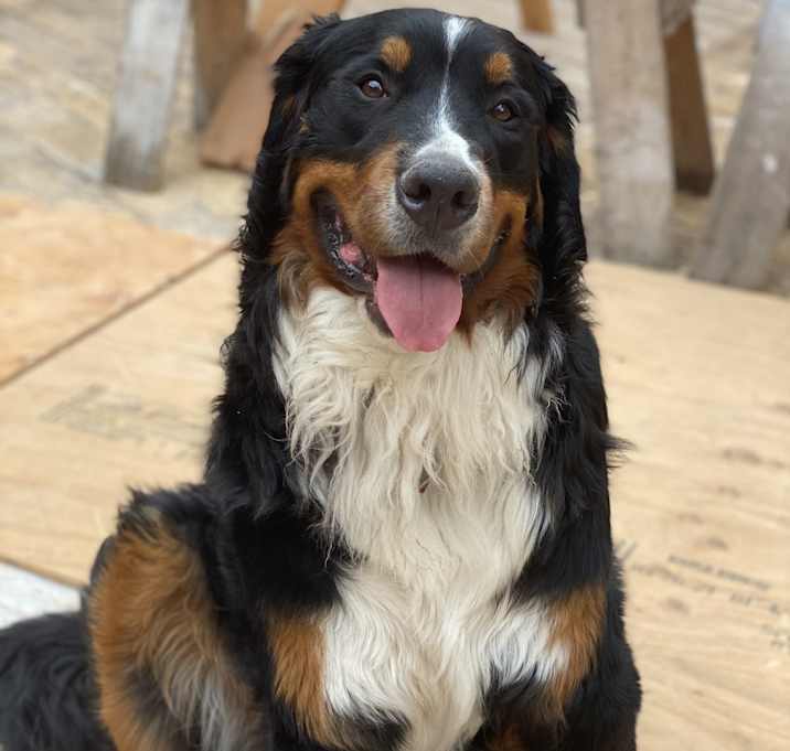 Photo of Rocket