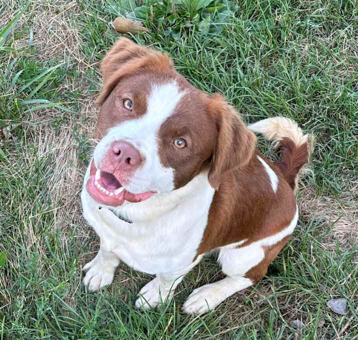 Photo of Wally