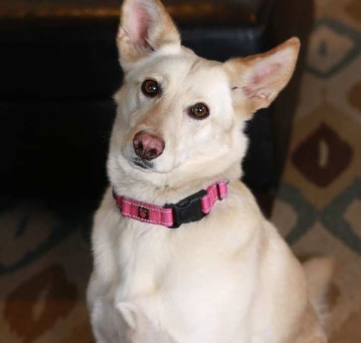 Photo of Cammie Bella