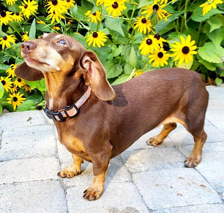 Photo of BEAUX