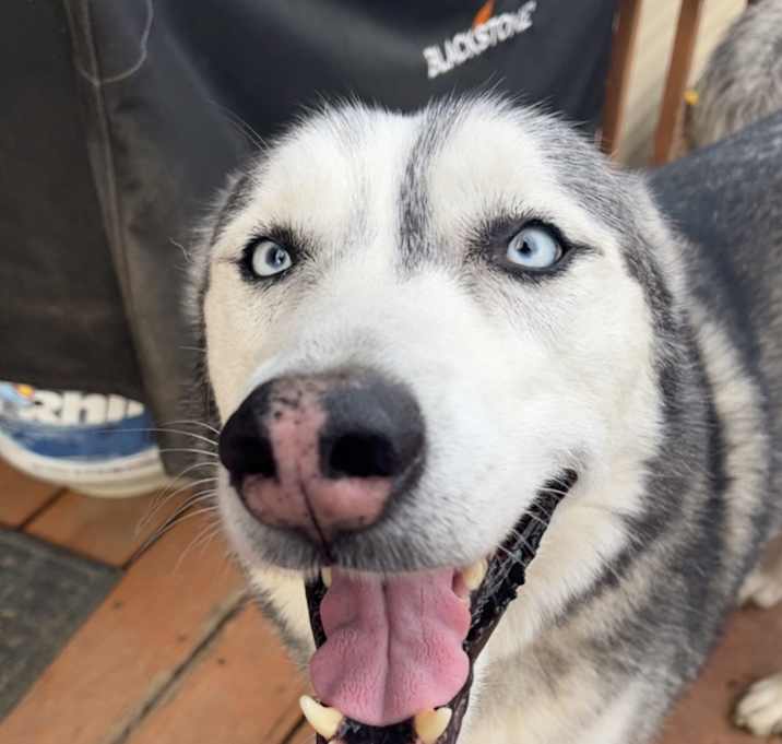 Photo of Oakley