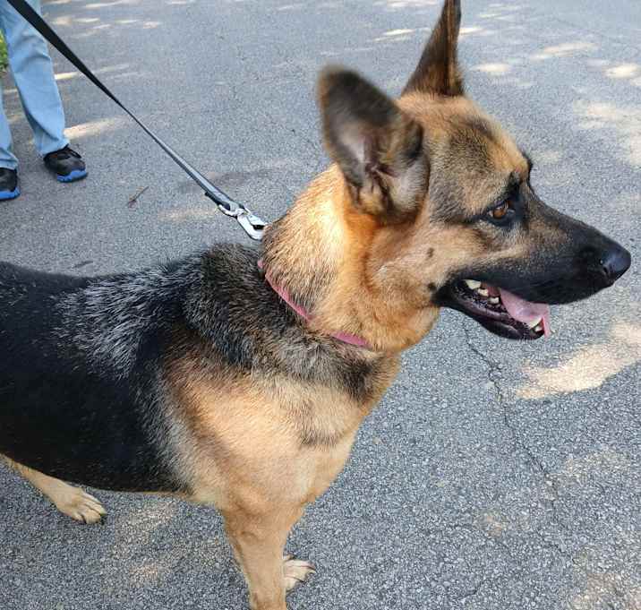 Photo of Elly