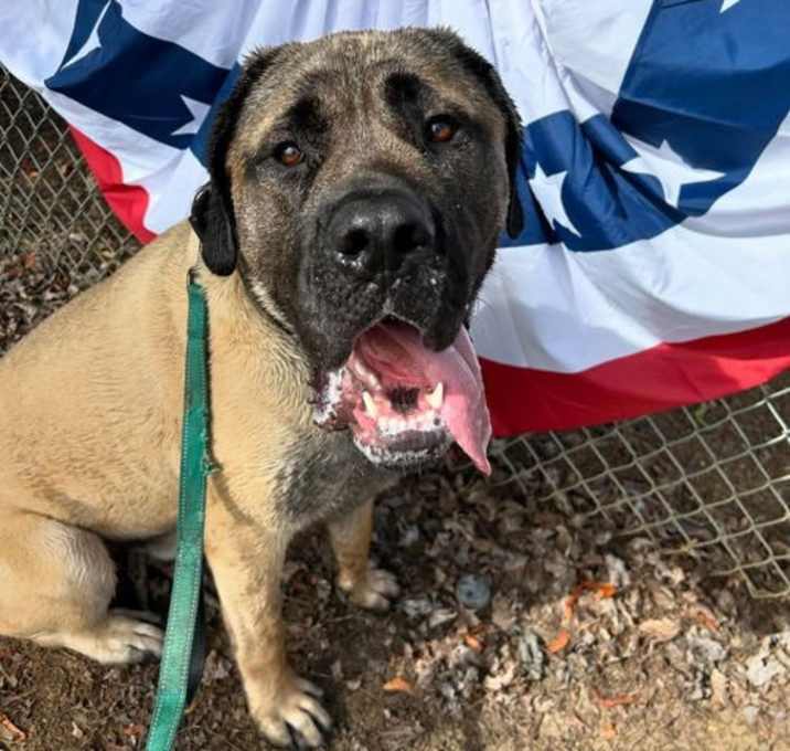Photo of Capone