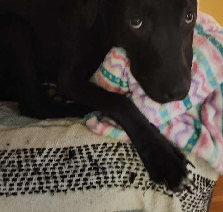 Photo of Luigi