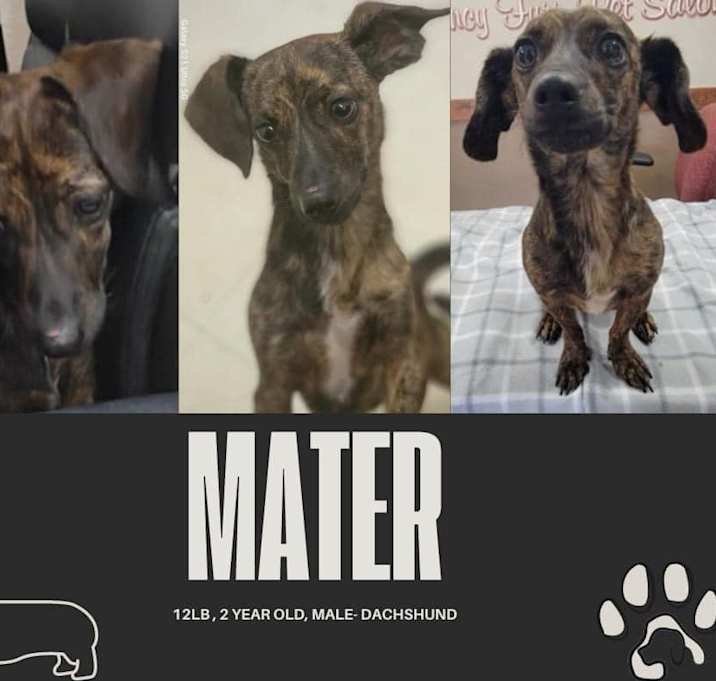 Photo of Mater