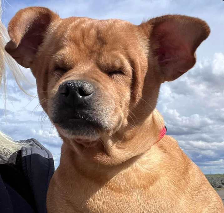 Photo of Betty