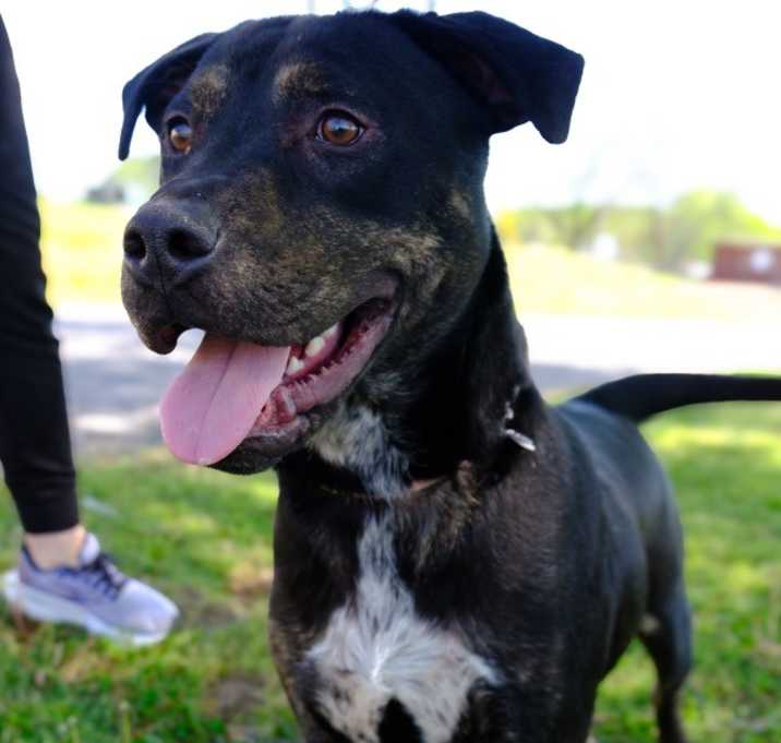 Photo of Blue