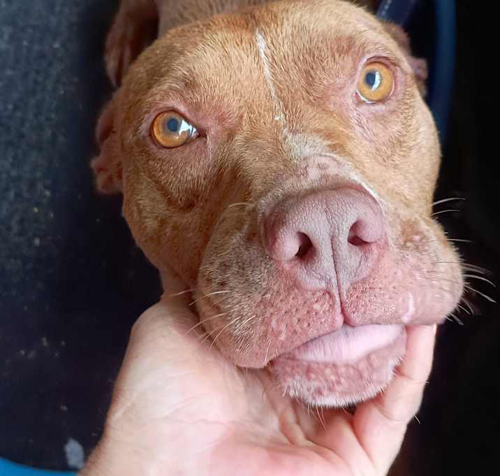 Photo of Hope
