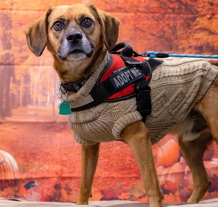 Photo of Norbert