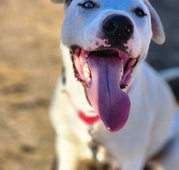 Photo of Ghost