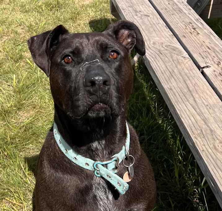 Photo of Willow