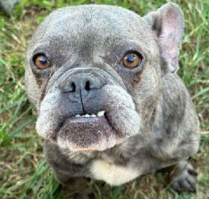 Photo of Royal