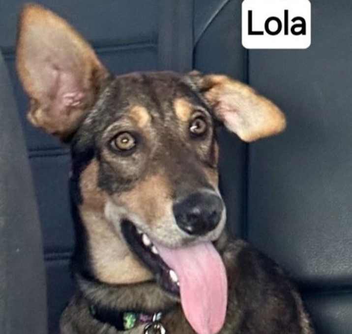 Photo of Lola