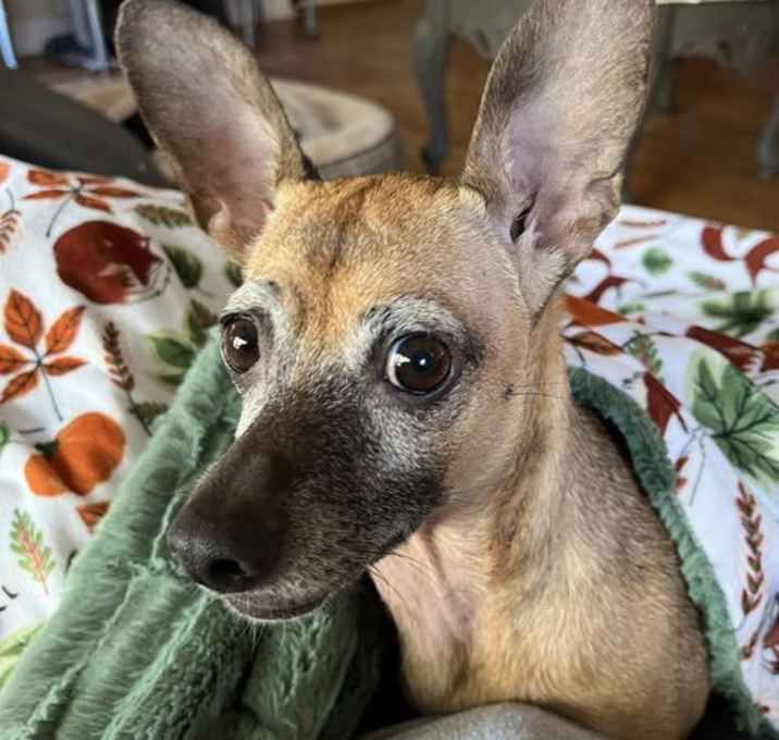 Photo of Annabelle
