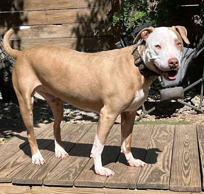 Photo of Snoop