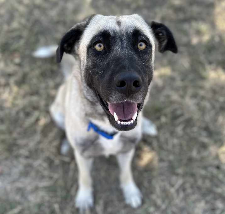 Photo of Annie