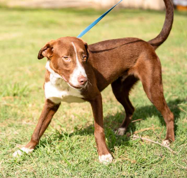 Photo of Cadbury