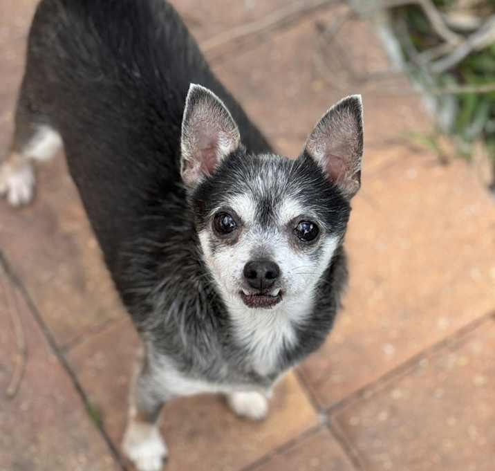 Photo of Kylo