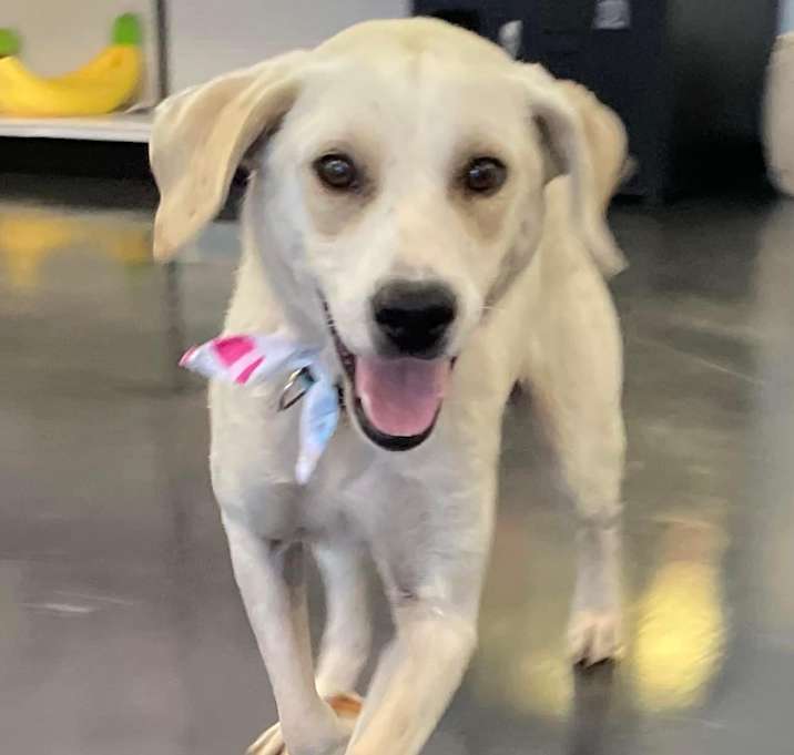 Photo of Luna