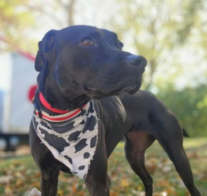 Photo of Violet