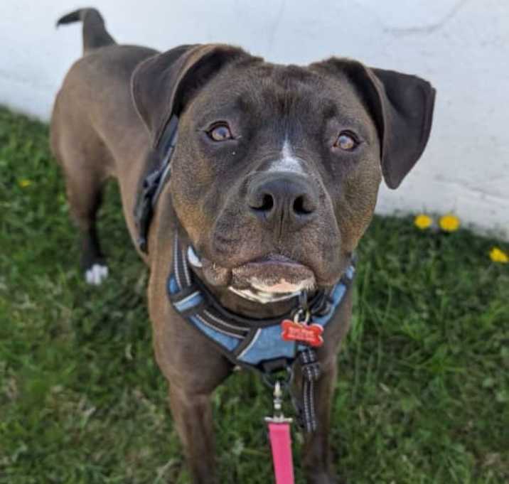 Photo of Roxie
